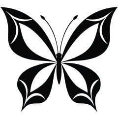 black and white butterfly