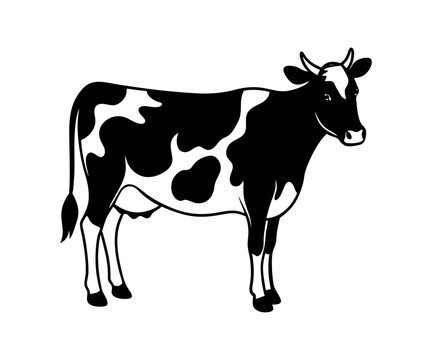 Black and White cow vector black silhouette vector illustration white background