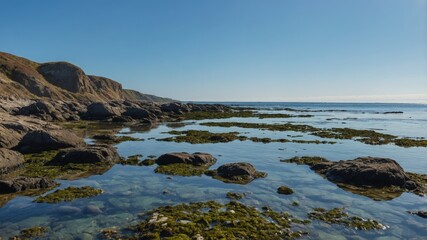 Stunning Coastal View with Tide Pools and Rocky Shoreline Under Clear Skies