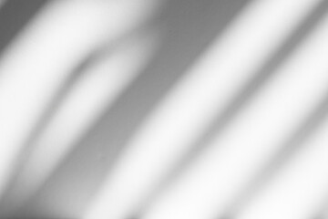 Wall interior background, studio and backdrops show products.with shadow from window color white and grey. background for text insertion and presentation product