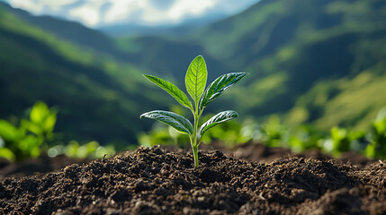 A young plant growing in fertile soil against a scenic mountain backdrop.