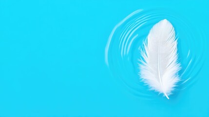Obraz premium Delicate white feather rests gently on tranquil water surface