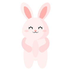 Cute Bunny Rabbit