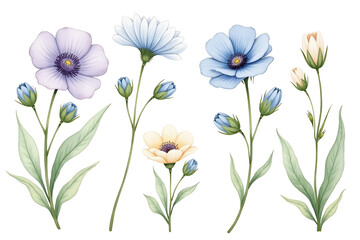 Watercolor flower element set isolated