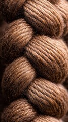 A close-up image of a beautifully braided strand of brown hair, showcasing its texture and shine.