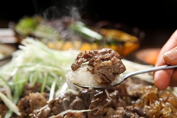 한우, 불고기, 한국전통음식, 불고기, 소고기요리, 한국요리