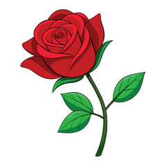 Naklejka premium a realistic red rose with green leaves on a white background.