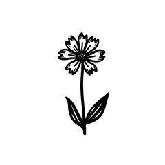 Minimalistic Flower with Petals and Leaves Design
