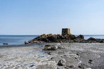 Salish sea coast shoreline sunny beach British Columbia © olegmayorov