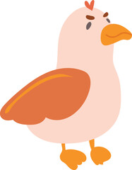 Pelican illustration