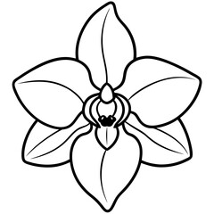  Elegant orchid vector illustration, perfect for digital design, prints, and creative projects.