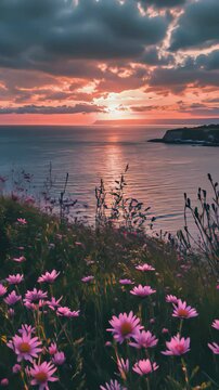 Peaceful Seaside Sunset with Flower Field

