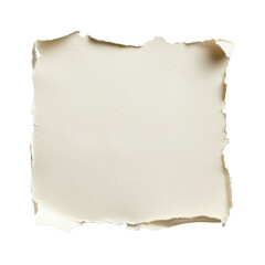 Fototapeta premium Torn paper with grunge texture on white background.