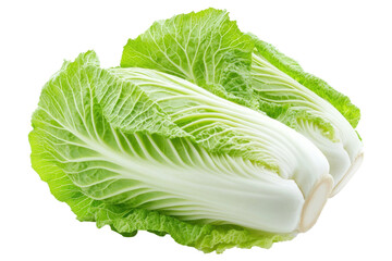 Lettuce with green leaves isolated on white background.