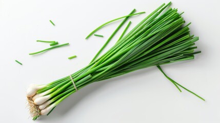 Fresh garlic chives with slender leaves, isolated on a transparent white background, aromatic and green