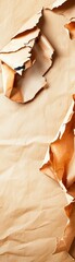 Torn Brown Paper Texture