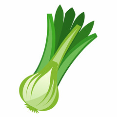 Leek vegetable isolated vector