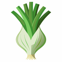 Leek vegetable isolated vector