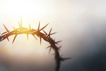Jesus' crown of thorns isolated on textured background with copy space, Easter religious symbol, Passion of Christ concept, holy week sacrifice