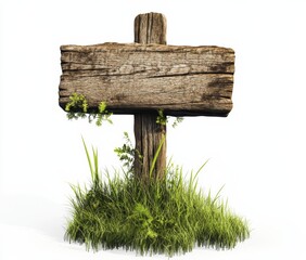 Naklejka premium Rustic wooden signpost surrounded by lush grass nature scene outdoor environment peaceful setting