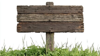 Fototapeta premium Rustic wooden sign post in lush green grass nature scene outdoor photography tranquil environment