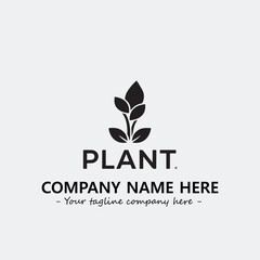 Plant illustration for logo company black and white vector image

