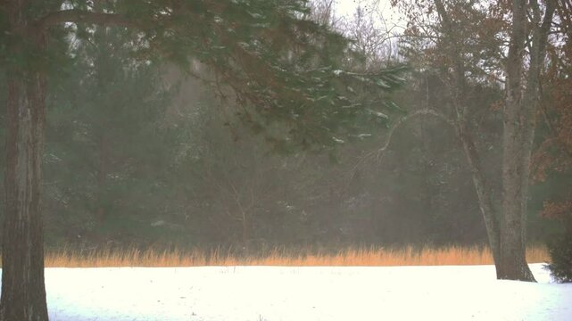 Strong wind gusts from Winter Storm Izzy, blow sleet and snow across the landscape during a rare, South Atlantic, winter storm.