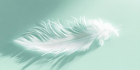 Obraz premium The combination of mint and white evokes a serene and fresh atmosphere.