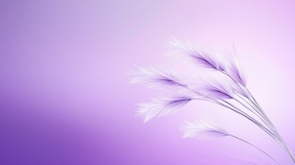 Obraz premium A serene purple pastel background with subtle texture and soft, muted tones, creating a peaceful and tranquil atmosphere ideal for modern visuals.