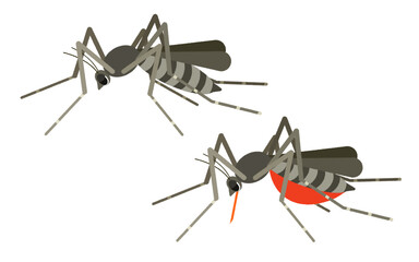 吸血した蚊のイラスト