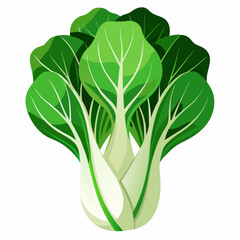 Bok choy vegetable isolated vector