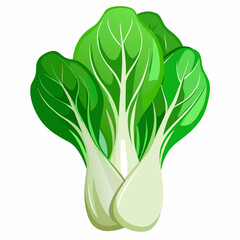 Bok choy vegetable isolated vector