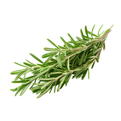 Fototapeta premium Fresh rosemary sprig isolated on a clean transparent background, showcasing its vibrant green leaves and aromatic qualities, fresh rosemary isolated on transparent background