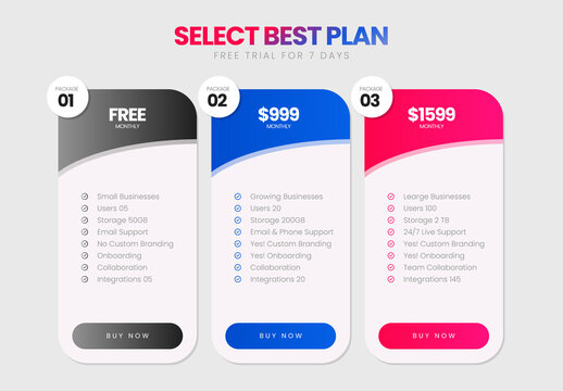 Business Pricing Plan Design Template