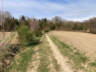 Landschaft mit Feldweg und Acker am Waldrand im Frühling im Bergischen Land