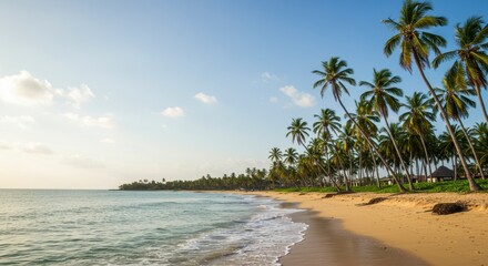 Tranquil Tropical Beach Scene with Palm Trees at Sunset