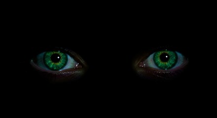 Mysterious green eyes gazing through darkness  
