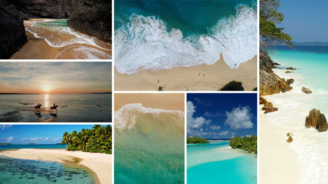 Split Screen Nature Transitions