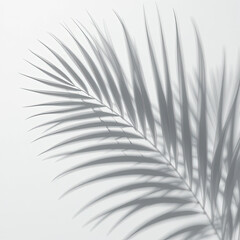 Obraz premium palm tree silhouette