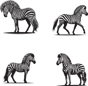 "Blazer Zabra Stylish Zebra Hybrid Vector Illustration"