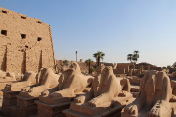 Ram-headed sphinxes at the first pylon of Karnak Temple Complex, Luxor, Egypt