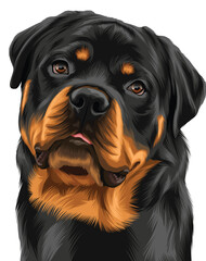Detailed vector illustration of a dog
