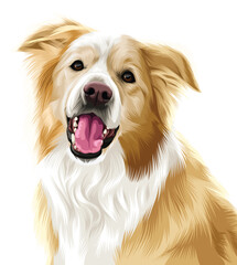 Detailed vector illustration of a dog