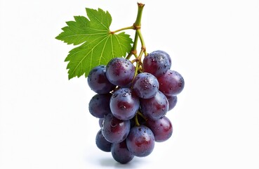 Fototapeta premium Ripe cluster of purple grapes isolated white. Juicy, fresh fruit with green leaf. Antioxidant, vitamin-rich food, perfect for dessert, snack. Healthy organic produce. Perfect for wine production,