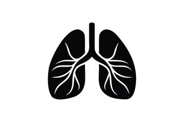 Human Lungs on white background