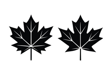 Maple leaf icon on white background