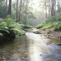 Fototapeta premium Tranquil forest stream flowing through lush greenery under misty conditions at dawn in a serene natural landscape