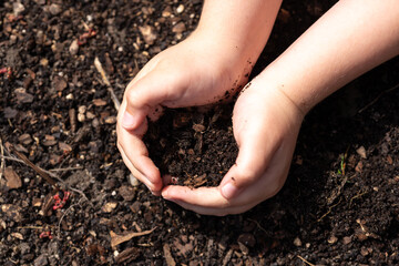 Kid holding soil. Child planting. Small hands with ground. Black soil in kids hands. Farm life for children. Earth in tiny hands. Kid holding soil. Childs hands in earth. Kid grasping rich soil.