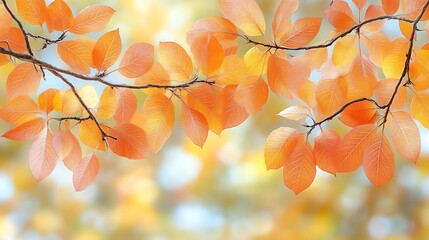 Autumn Branch Displays Delicate Orange Leaves