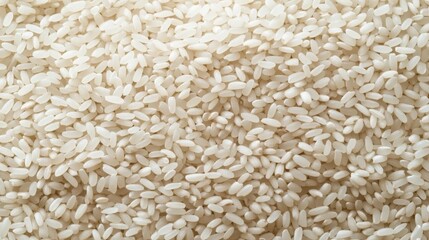An artistic representation of rice seeds in a minimalist style.